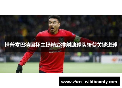 塔普索巴德国杯主场精彩推射助球队斩获关键进球 塔普索巴德国杯主场精彩推射助球队斩获关键进球