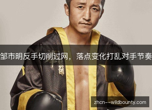 邹市明反手切削过网,落点变化打乱对手节奏 邹市明反手切削过网,落点变化打乱对手节奏